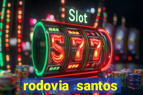 rodovia santos dumont br-116